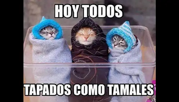 imágenes graciosas frío