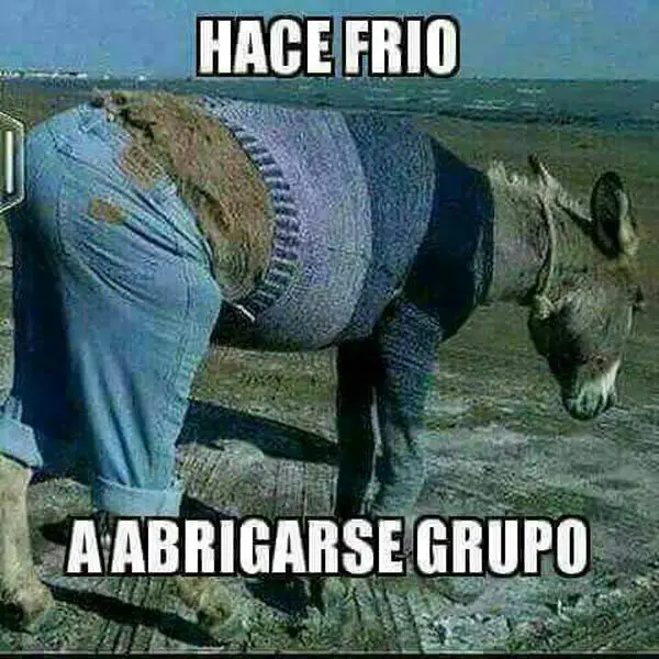 imágenes graciosas frío