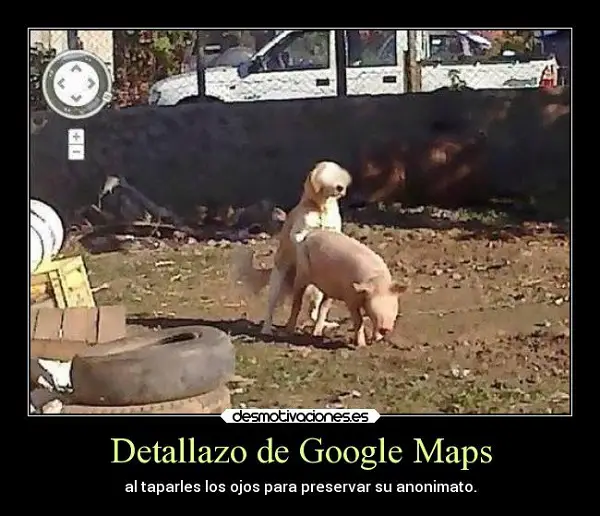 Imágenes graciosas google maps