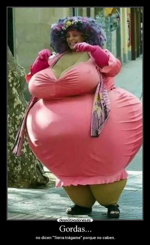 Imágenes graciosas gordas
