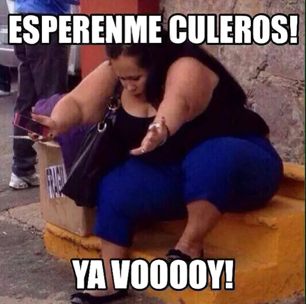 Imágenes graciosas gordas