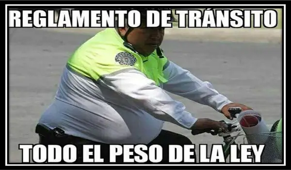 Imágenes graciosas gordos