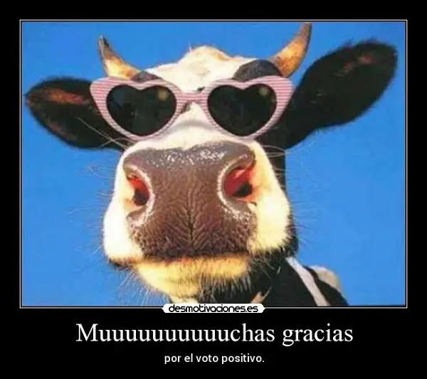 Imágenes graciosas gracias