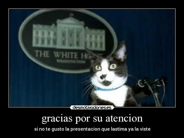 Imágenes graciosas gracias