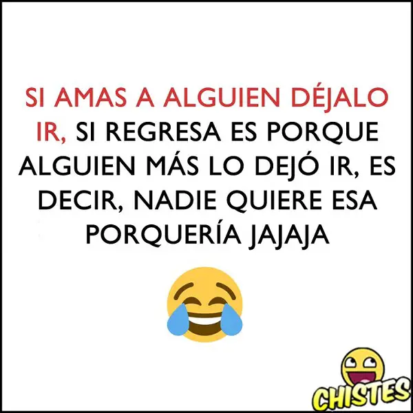 Imágenes graciosas gratis para facebook