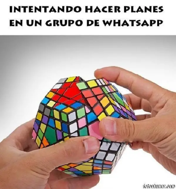 Imágenes graciosas grupos whatsapp