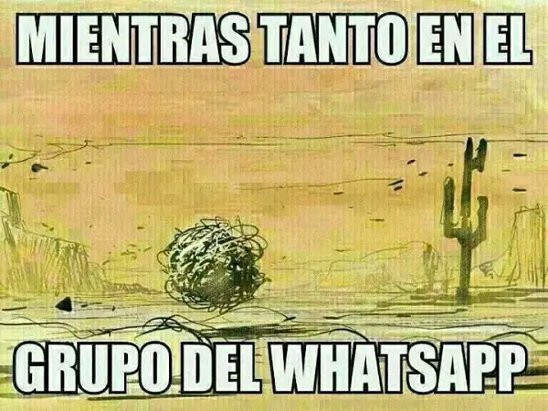 Imágenes graciosas grupos whatsapp