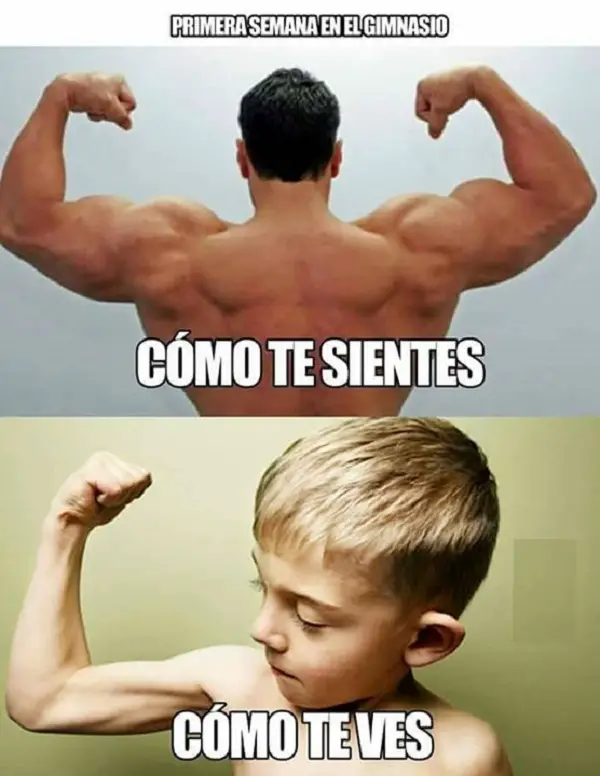 imágenes graciosas gym