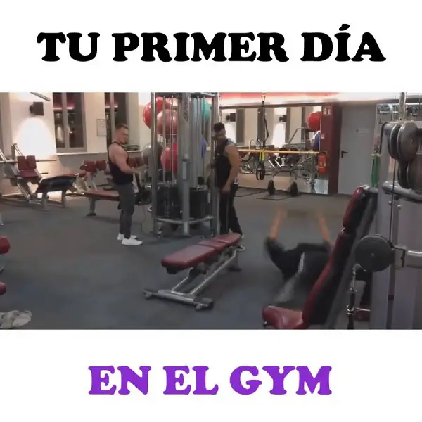 imágenes graciosas gym