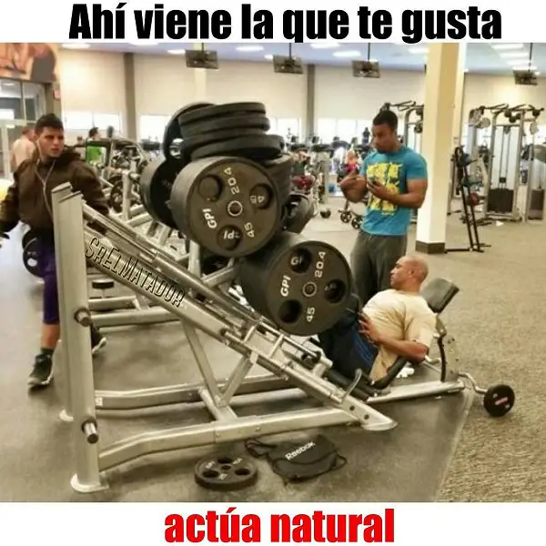 imágenes graciosas gym