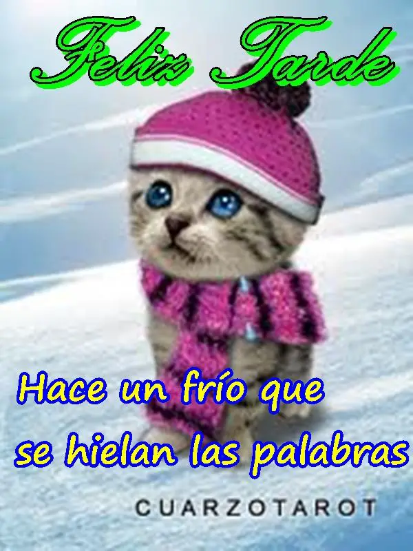 Imágenes graciosas hace mucho frío