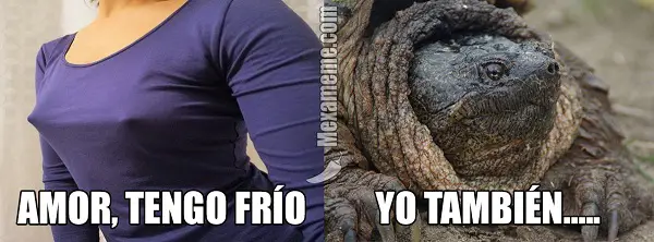 Imágenes graciosas hace mucho frío