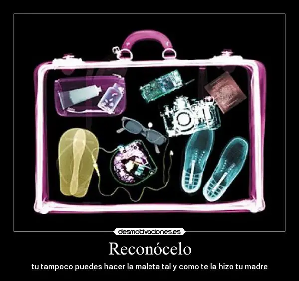 Imágenes graciosas haciendo maletas