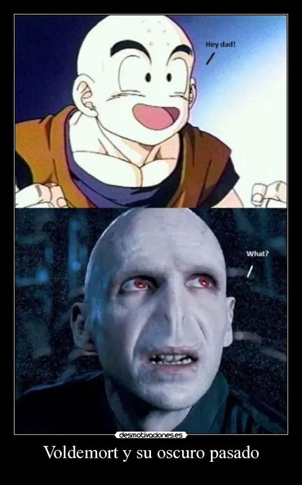 Imágenes graciosas harry potter