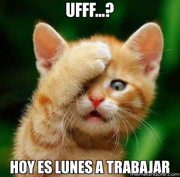 Imágenes graciosas hoy es lunes